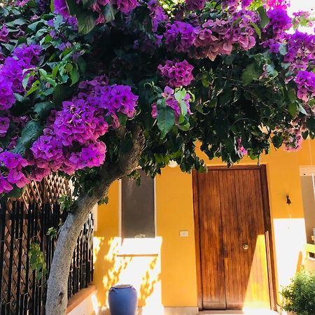 Bed and Breakfast Le stanze di Botticelli Termoli Esterno foto